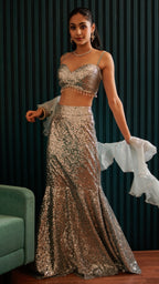 Jalpari  Sequins Lehenga Set