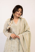 Sage green cut daana Anarkali set